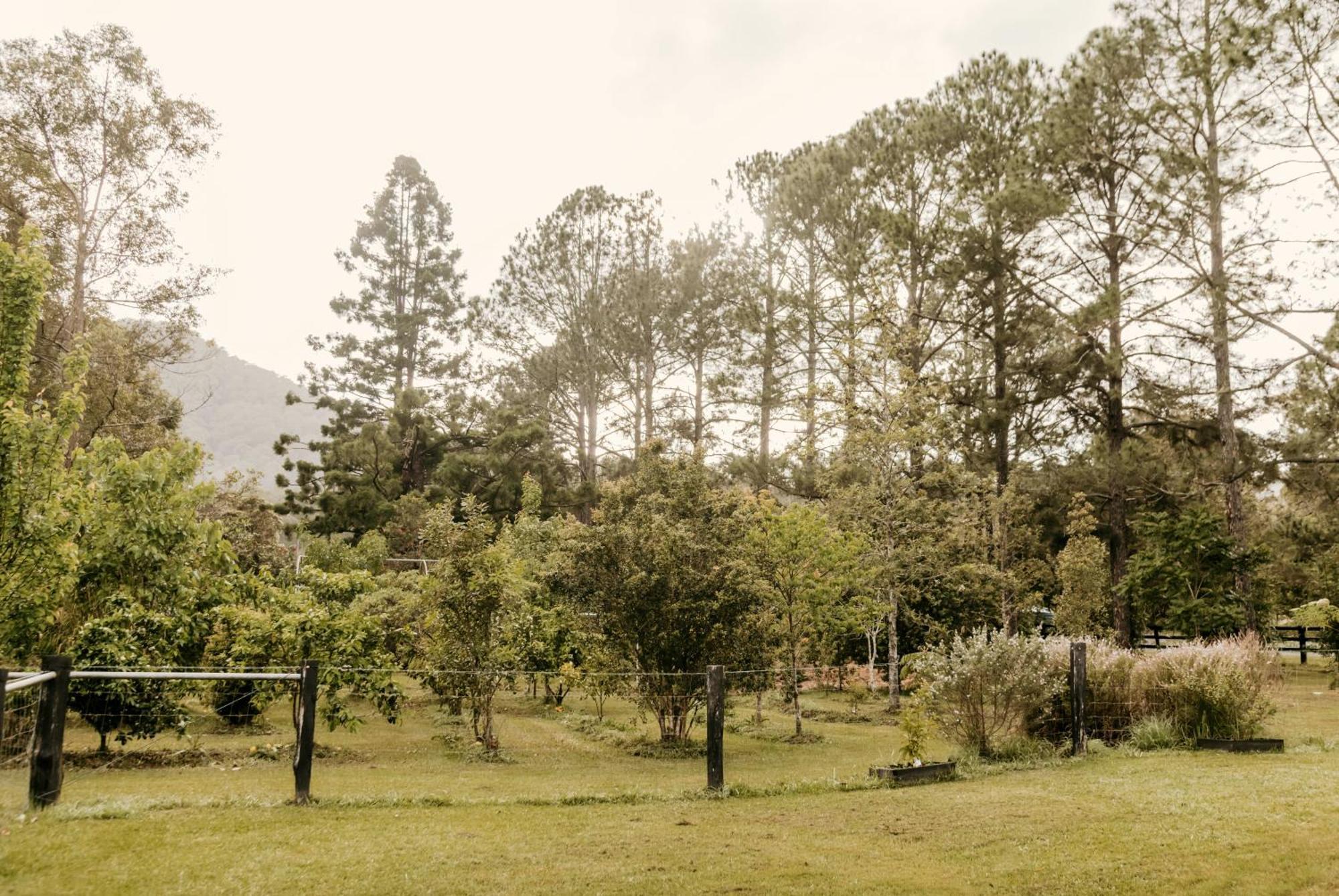 Contained In Nimbin Accommodation Exterior photo